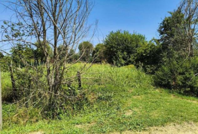 Immobile in asta di 1 m² in vendita a Megliadino San Vitale - Foto 3