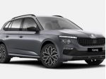 SKODA Kamiq 1.0 tsi black dots 95cv rif. 23745467
