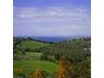 Bed And Breakfast La Volpe e L'Uva