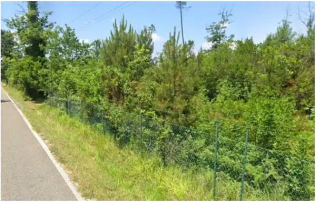 Immobile in asta di 30310 m² in vendita a Castelfranco di Sotto - Foto 3