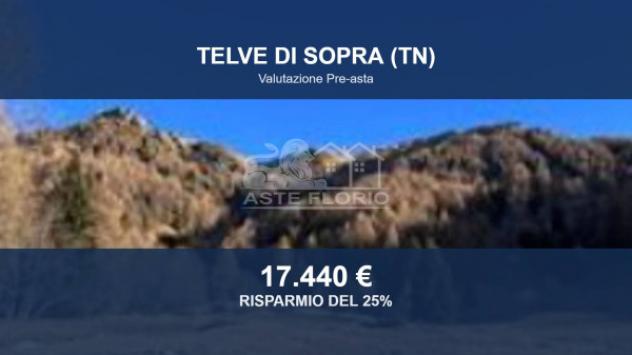 Immobile in asta di 17391 m² in vendita a Scurelle