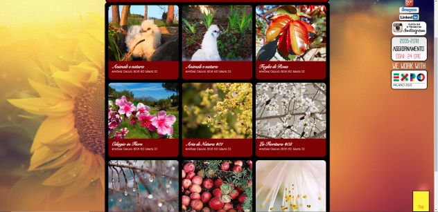 Web Designer - realizzo il tuo sito web