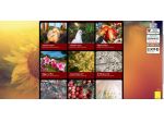 Web Designer - realizzo il tuo sito web
