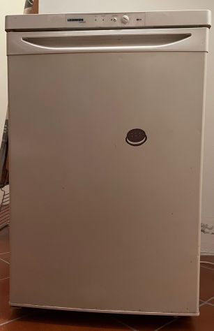 freezer LIEBHERR Comfort modello G 1211 - Foto 2