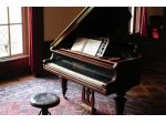 Pianista e violinista Laglio