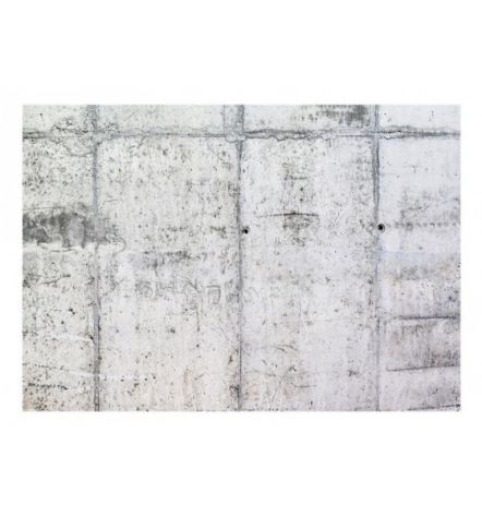 Fotomurale Adesivo Grigio Ruspante ARREDALACASA - Foto 2