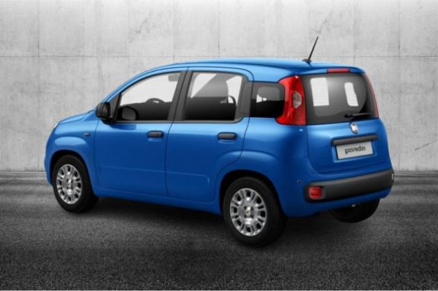 FIAT Panda 1.0 FireFly S&S Hybrid rif. 21647359 - Foto 2