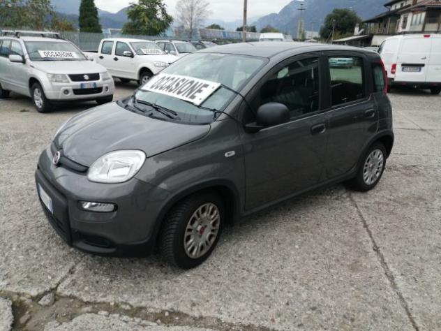 FIAT Panda 1.0 FireFly S&S Hybrid rif. 23900748