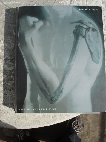 VOLUME DI ANATOMIA UMANA EDITORE EDISES, SCRITTO DA MARTINI,TIMMONS,TALLITSCH - Foto 2