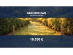 Immobile in asta di 3164 m² in vendita a Assemini