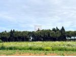 CERVIA ( Montaletto ): PINETA SECOLARE ( terreno agricolo ) ideale per CASA &hellip;