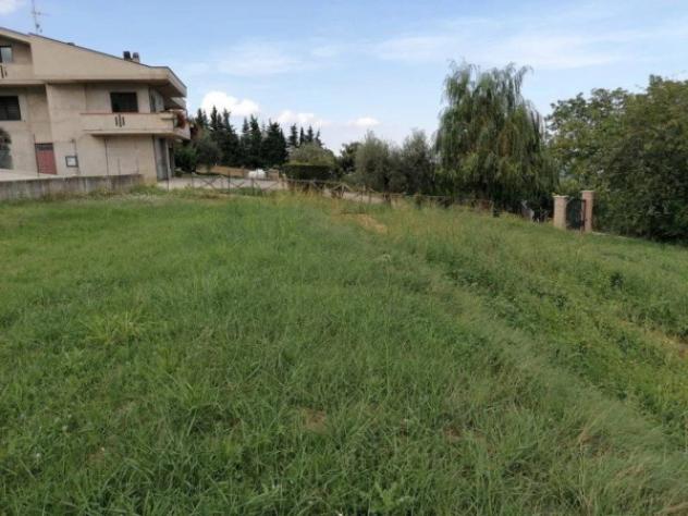 Immobile in asta di 673 m² in vendita a Colledara - Foto 3