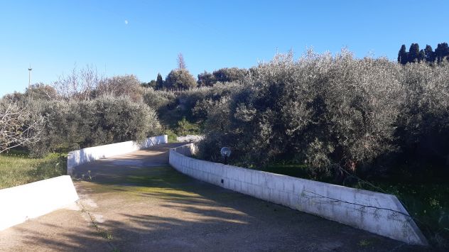 Terreno panoramico.... - Foto 2