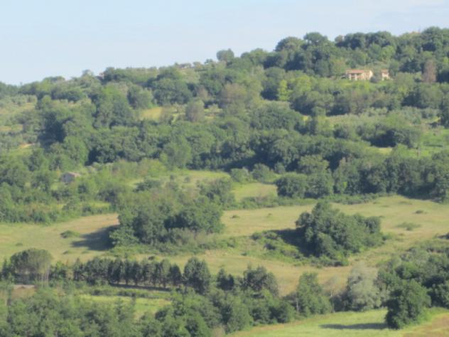 Casa di campagna in Località Penna-Molino - Foto 16