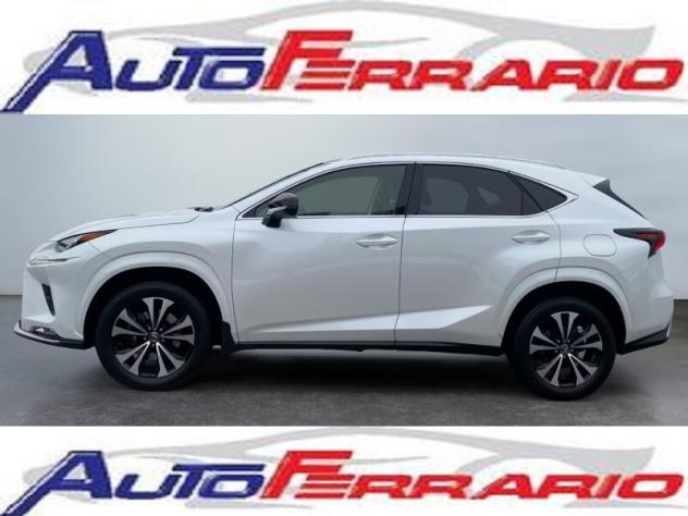 LEXUS NX 1ª serie NX Hybrid Business - Foto 4