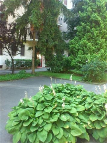 posto letto per ragazza -Milano
