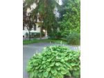 posto letto  per ragazza -Milano