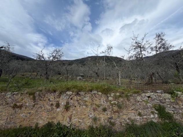 Terreno agricolo in vendita a Castelmaggiore - Calci 1500 mq Rif: 1205664 - Foto 9