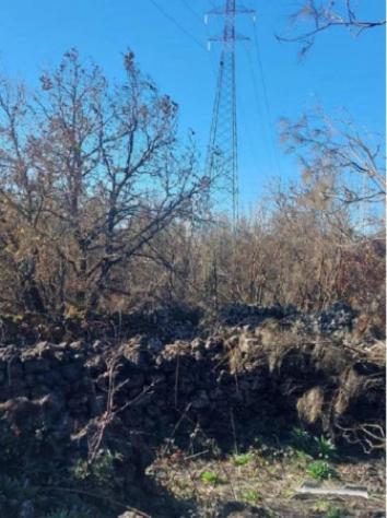 Immobile in asta di 36546 m² in vendita a Nicolosi - Foto 3