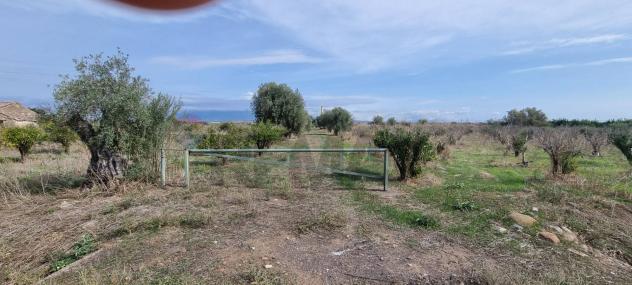 Terreno in vendita a Paternò