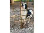 Riley