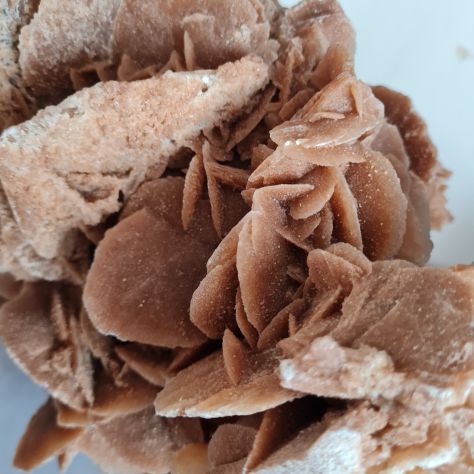 Rosa del deserto soprammobile