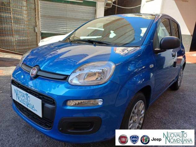 FIAT Panda Pandina 1.0 FireFly S&S Hybrid Icon 5°posto Km0 rif. 24003105 - Foto 2
