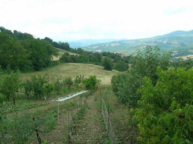 Terratetto in vendita a Pennabilli - Foto 7