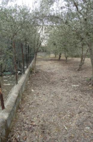 Immobile in asta di 796 m² in vendita a Carini - Foto 3