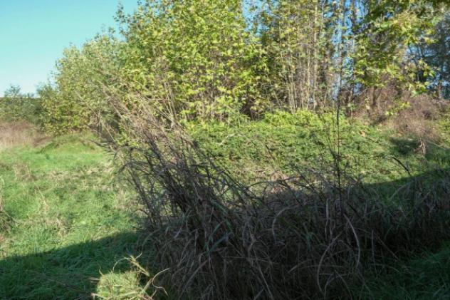 Immobile in asta di 2830 m² in vendita a Inzago - Foto 2