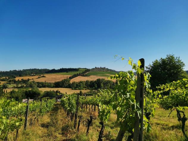 Terreno agricolo in vendita a Poggibonsi 7700 mq Rif: 1403716 - Foto 6