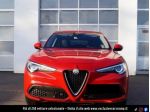 ALFA ROMEO Stelvio 2.0 Turbo 200 CV AT8 Q4 Super rif. 23321318