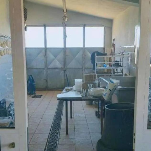Immobile in asta di 2000 m² in vendita a Enna - Foto 9