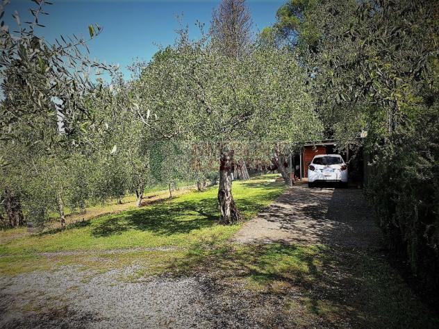 Appartamento in bifamiliare con cantina e giardino - Foto 11