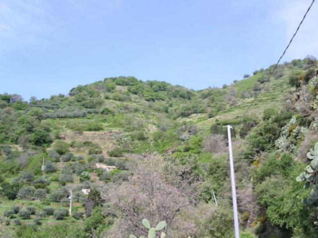 Immobile in asta di 1770 m² in vendita a Itala - Foto 3