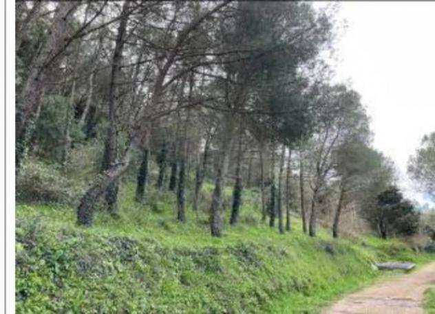 Immobile in asta di 23081 m² in vendita a Osilo - Foto 8