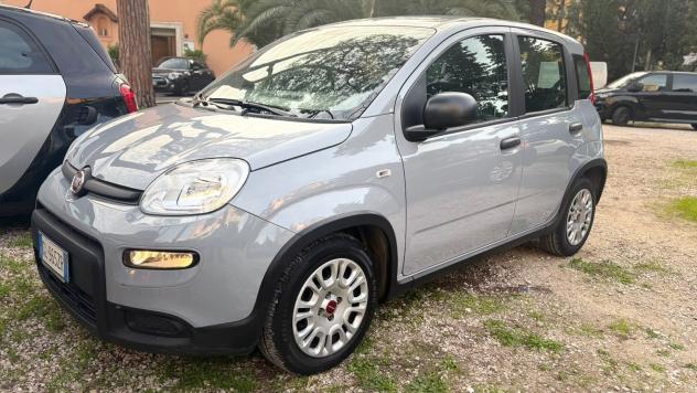 FIAT Panda Panda 1.0 firefly hybrid s&s 70cv 12 MESI DI GARANZIA