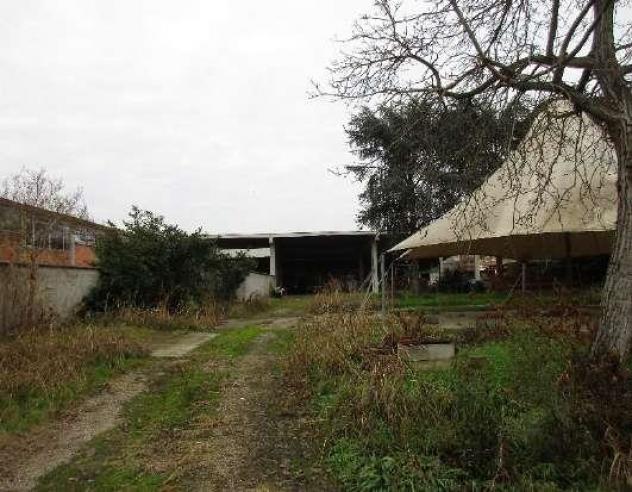 R.G.E. 196/2024 Pavia