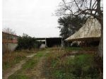 R.G.E. 196/2024 Pavia