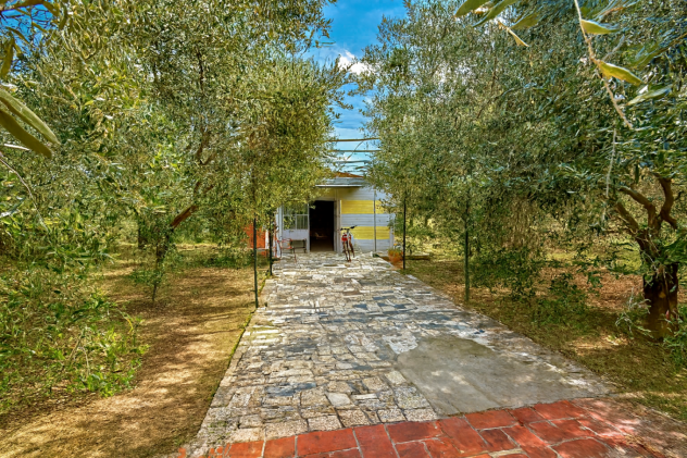 Annesso agricolo in vendita a Titignano - Cascina 1700 mq Rif: 1370992
