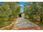 Annesso agricolo in vendita a Titignano - Cascina 1700 mq  Rif: 1370992