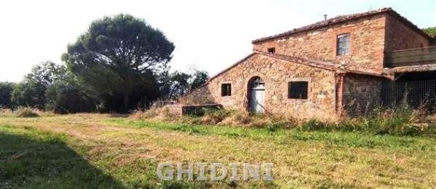 CASALE di 20 vani e di 750 mq (CINIGIANO - S. RITA) rif. 2432.102P - Foto 3