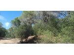 FOLLONICA VENDESI TERRENO AGRICOLO