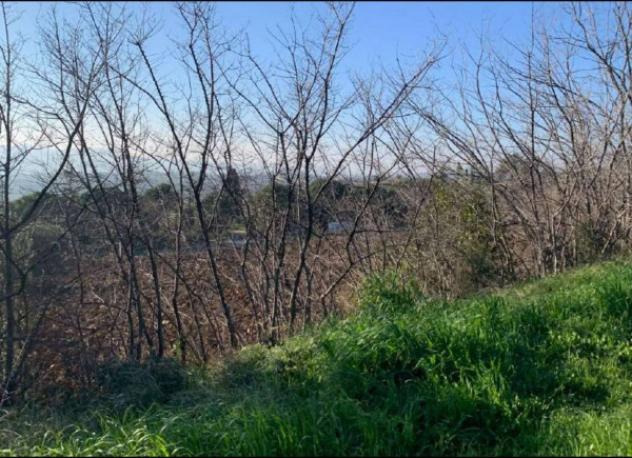 Immobile in asta di 2560 m² in vendita a Sant'Elpidio a Mare - Foto 7