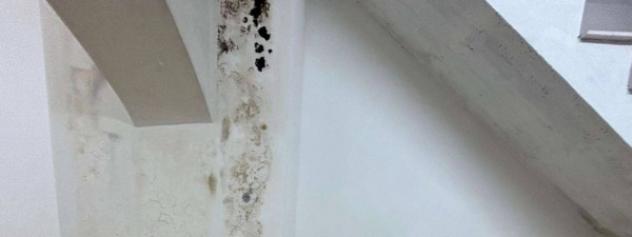 Immobile in asta di 84 m² in vendita a Lucera - Foto 14