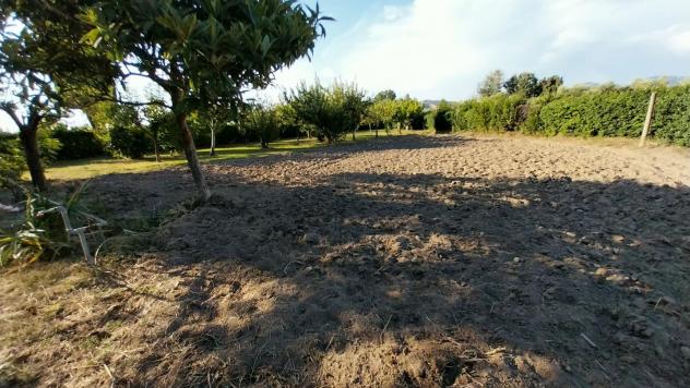 Villa in vendita a Pontasserchio - San Giuliano Terme 300 mq Rif: 1405884 - Foto 7