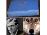 WHITE FANG  (ZANNA BIANCA), JACK LONDON, METHUEN & CO. LTD. London 1928.