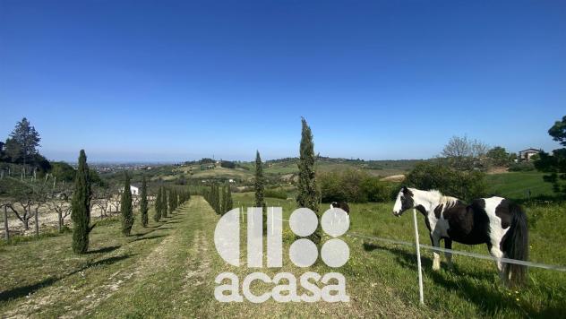 SOLO PER IMPRENDITORI AGRICOLI - Foto 10