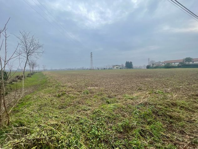Terreno agricolo - Foto 2