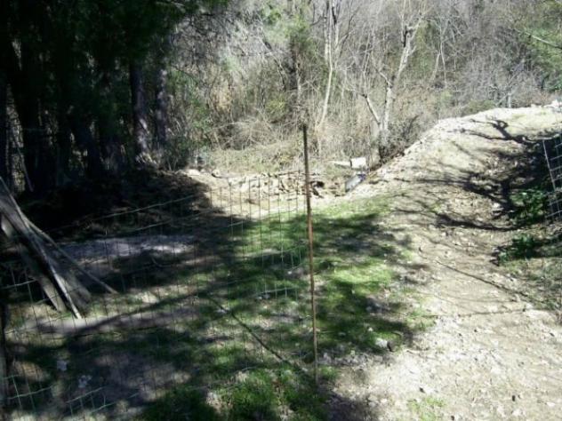 Immobile in asta di 4300 m² in vendita a Cerchiara di Calabria - Foto 7